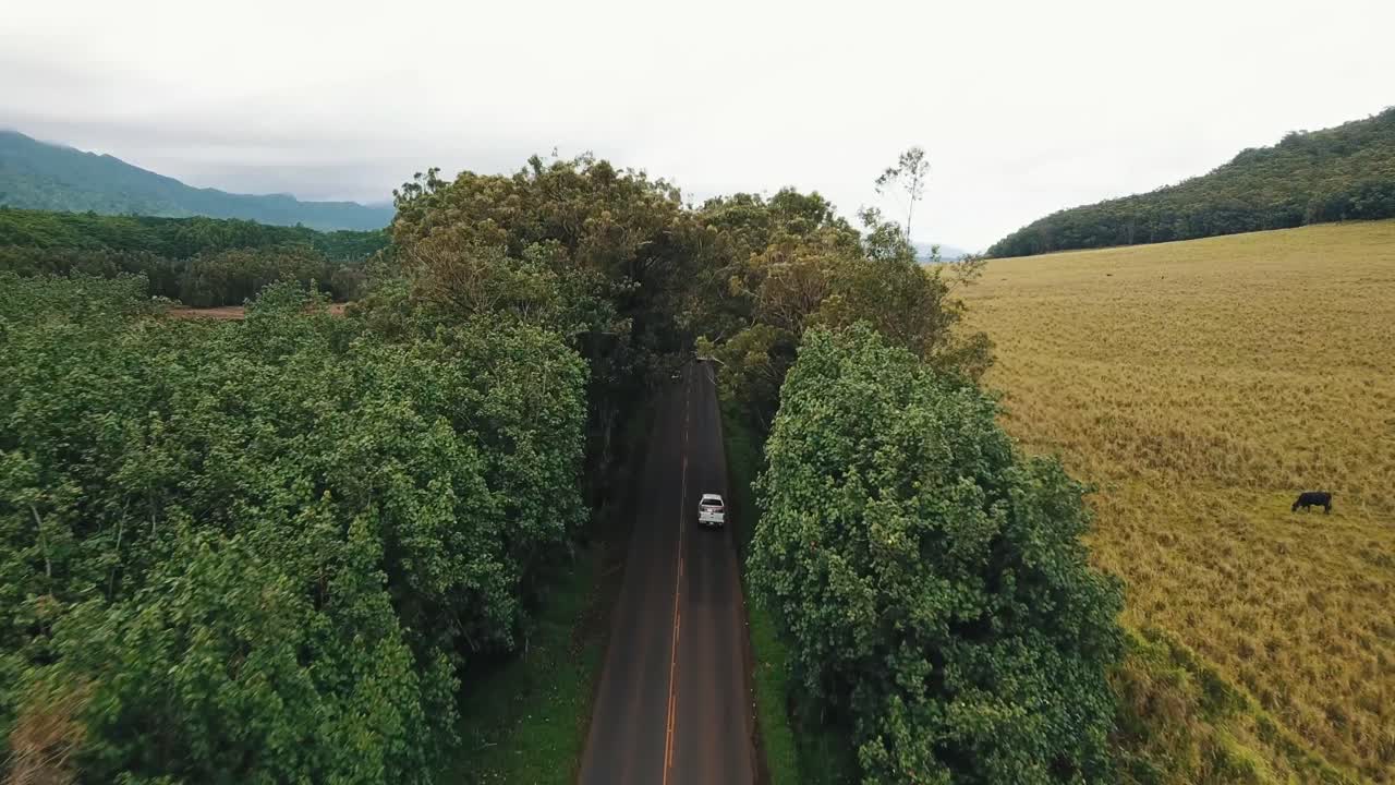 섬 도로 드론 샷 4k