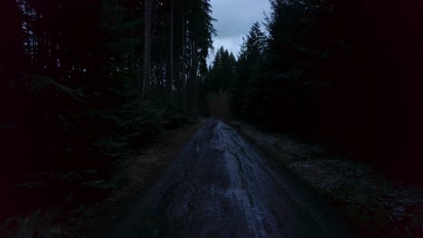 Caminando-Por-Un-Camino-Fangoso-En-El-Bosque-En-Invierno-Por-La-Noche