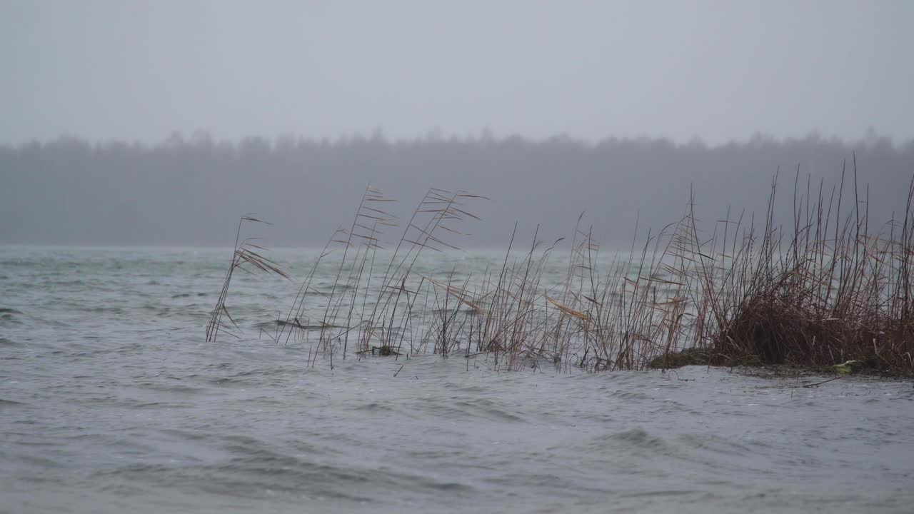 Steady shot of river waves floating towards shore view in the rainy windy dark autumn day