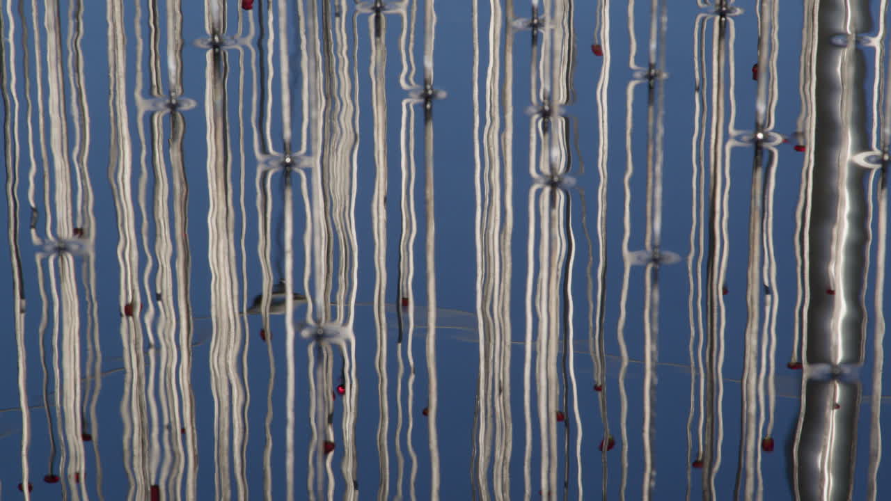 Abstract Reflection of Metal Poles in Rippled Water
