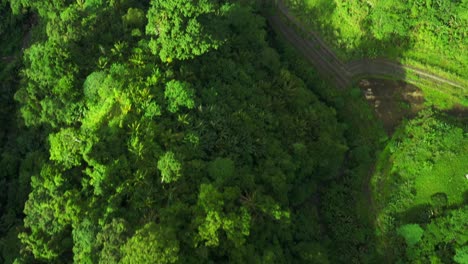 Scenic-View-Of-Lush-Vegetation-With-Agas-Agas-Bridge-Near-Barangay-Kahupian-In-Sogod,-Southern-Leyte,-Philippines