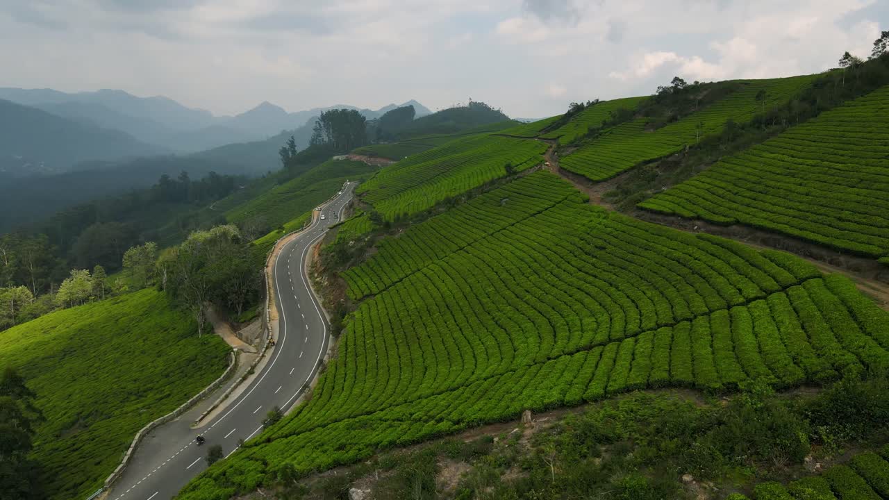 Ripresa aerea con drone delle mozzafiato colline di Munnar ricoperte di piantagioni di tè.