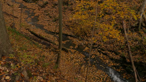 Pequeño-Arroyo-Ondula-A-Través-Del-Bosque-De-Otoño-Cubierto