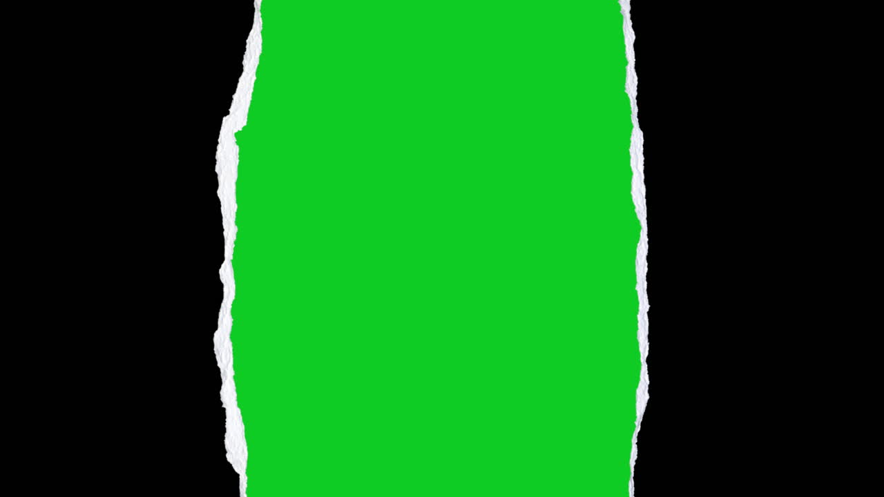Aerial View of Lush Green Forest with Winding River