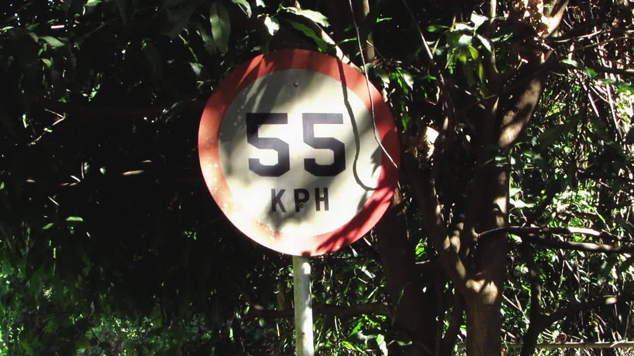 Old Traffic Sign in the Forest, Philippines