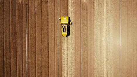 Slow-Motion-wide-drone-HIGH-POV-straight-down-of-artichoke-farm-field-and-weeding-machine-moving-downwards