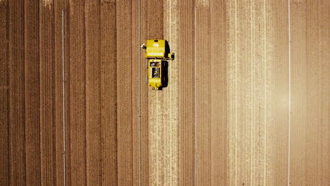 lento movimiento amplio drone alto pov directamente hacia abajo del campo de la granja de alcachofas y la máquina de deshierba que se mueve hacia abajo