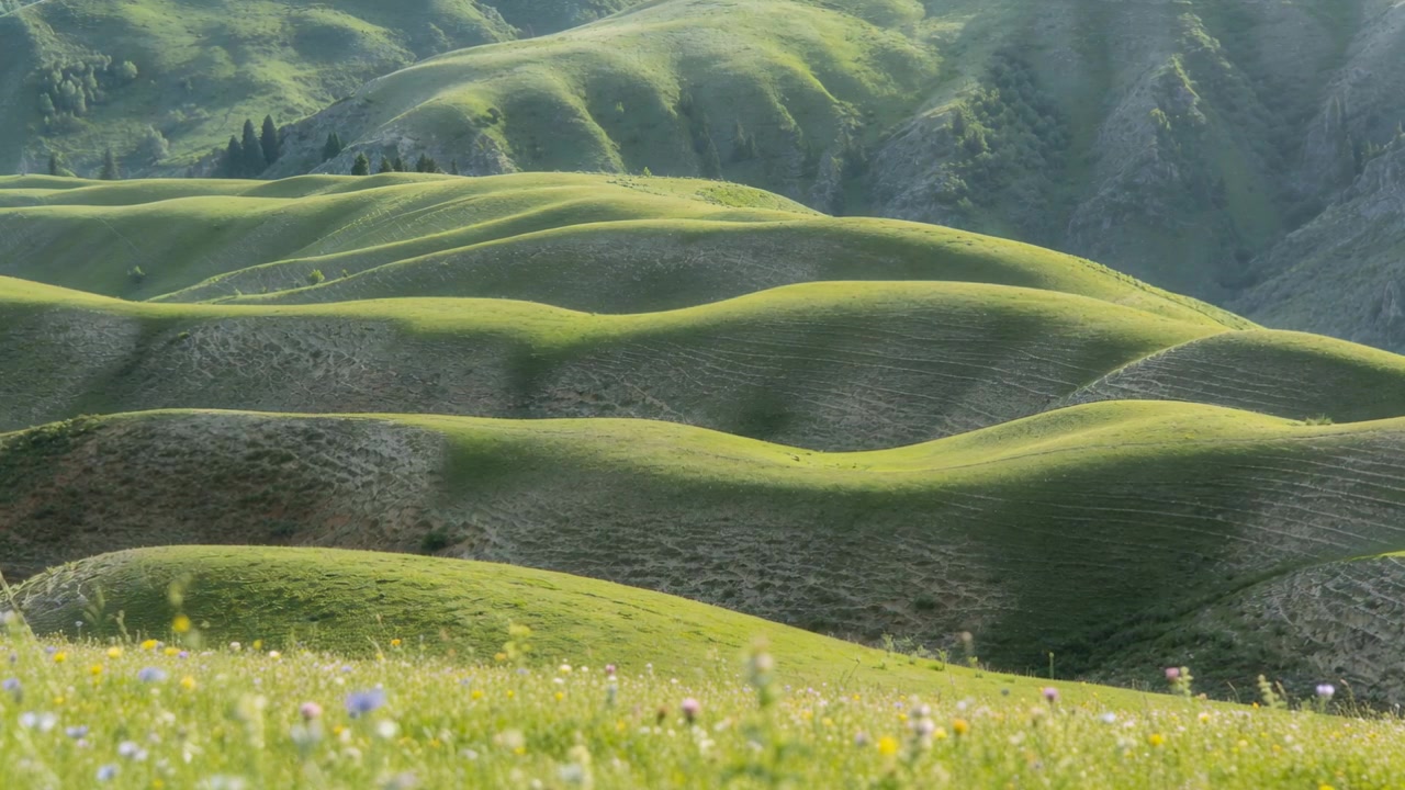 Raggi di sole e brezza mutevoli che rivelano dolci colline verdi in un prato con fiori, pini e una parete rocciosa.