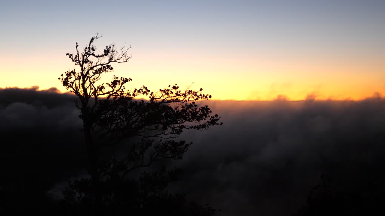 el arbusto recortado sopla en el viento durante la vibrante puesta de sol naranja con nubes rodando a través del marco en el fondo