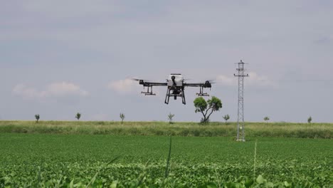 agricultural drone fly above green crop field and prepare to spray chemicals