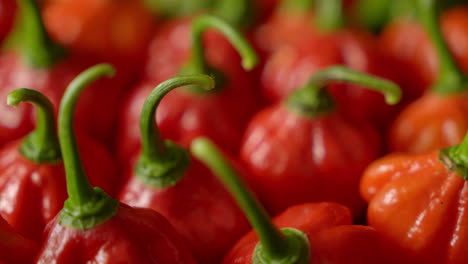 fresh chili pepper in a wooden bowl