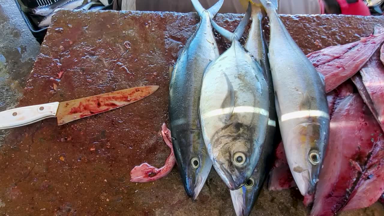 el hombre clasifica toda la captura del día en la mesa del mercado de pesca, peces del caribe