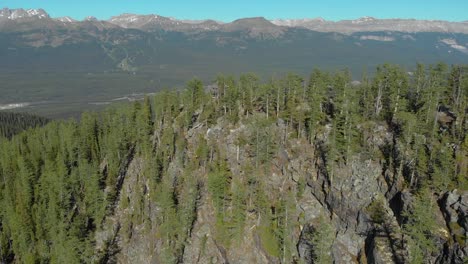 aerial drone view flight over pine tree forest in mountain during the day, banff canada