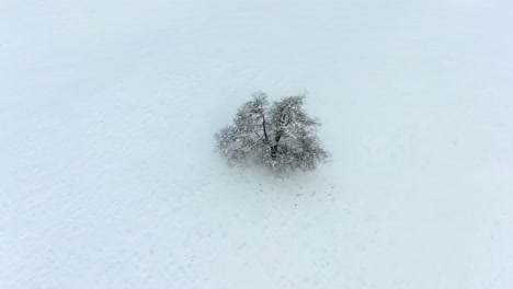 Ariel footage of snow covered landscapes