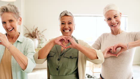 Heart,-love-and-senior-hands-in-portrait