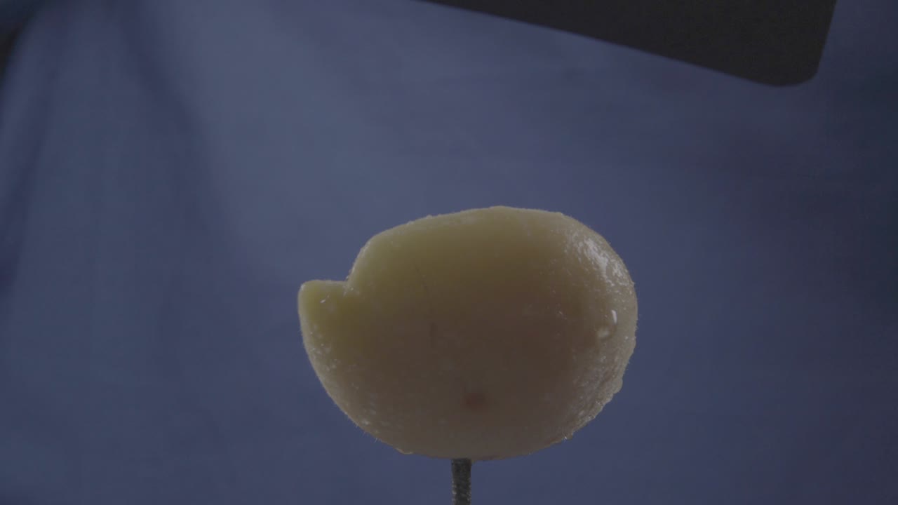 크로마 키를 위해 파란 화면에 루프와 함께 회전하는 사탕수수