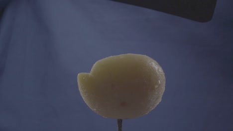 albaricoque girando con bucle en pantalla azul para la llave de croma