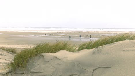 Serie-De-Tomas-De-Vacaciones-De-Invierno-Con-Viento-En-Los-Países-Bajos-En-La-Isla-De-Playa-Holandesa-Terschelling