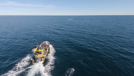 Un-Barco-De-Pesca-Navegando-Por-El-Mar-Patagónico-Con-Una-Manada-De-Delfines-Nadando-En-El-Golfo-De-San-Jose-Cerca-De-Península-Valdés-En-Patagonia,-Argentina---Cámara-Lenta-Aérea