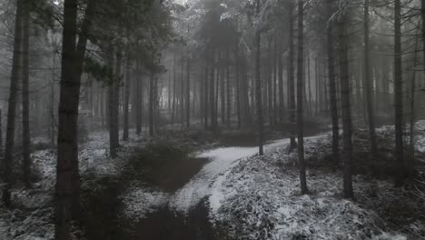 drone footage flying through a froze and misty forest