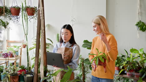 plant shop customer consultation