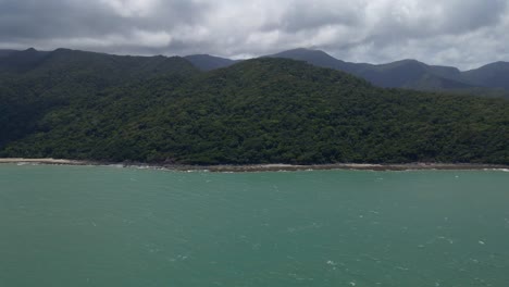 Dense-Trees-At-Rainforest-In-Daintree-National-Park-With-Calm-Blue-Sea-In-The-Foreground---Cape-Tribulation,-QLD,-Australia