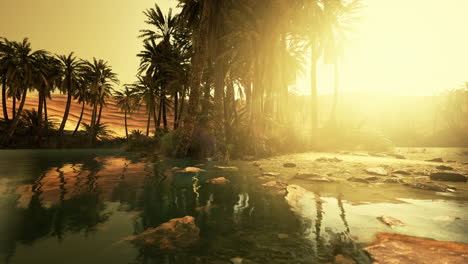 Desert-oasis-pond-with-palm-trees-and-plants