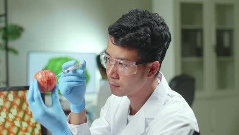 biochemist researcher injecting healthy apple with dna liquid using medical syringe checking genetic test . scientist biologist examining fruits in microbiology farming laboratory
