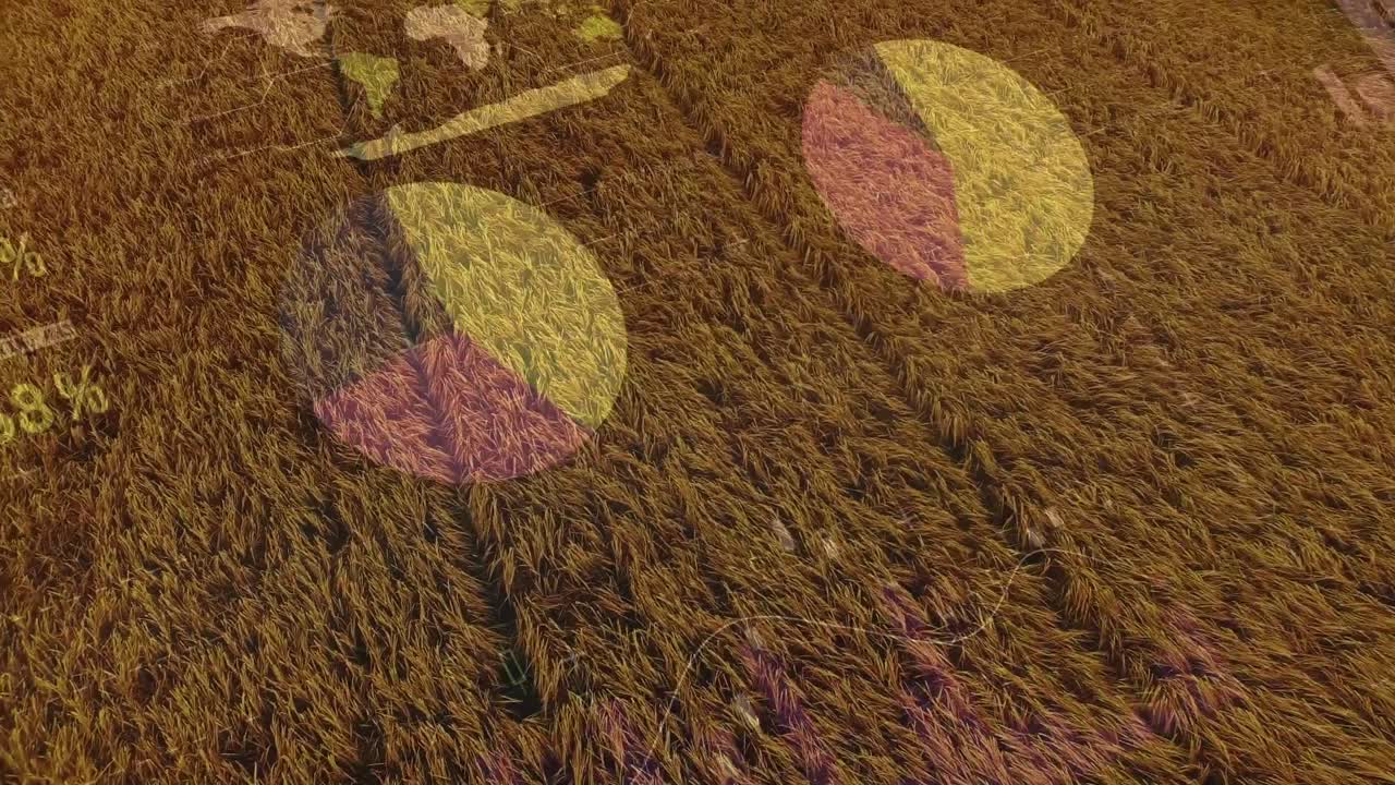 animación de las estadísticas y el procesamiento de datos financieros en el ámbito de la agricultura