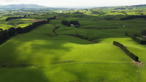 Gore-area,-area-of-agriculture-fields,-shepharding