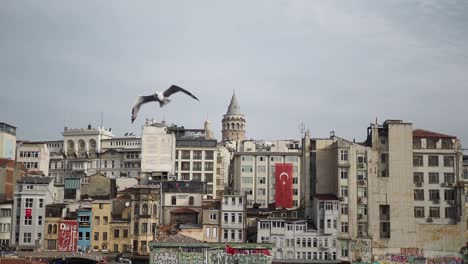 galata tower and istanbul skyline