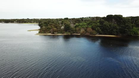 antena de drones sobre el lago y la reserva natural panorámica y retrocediendo