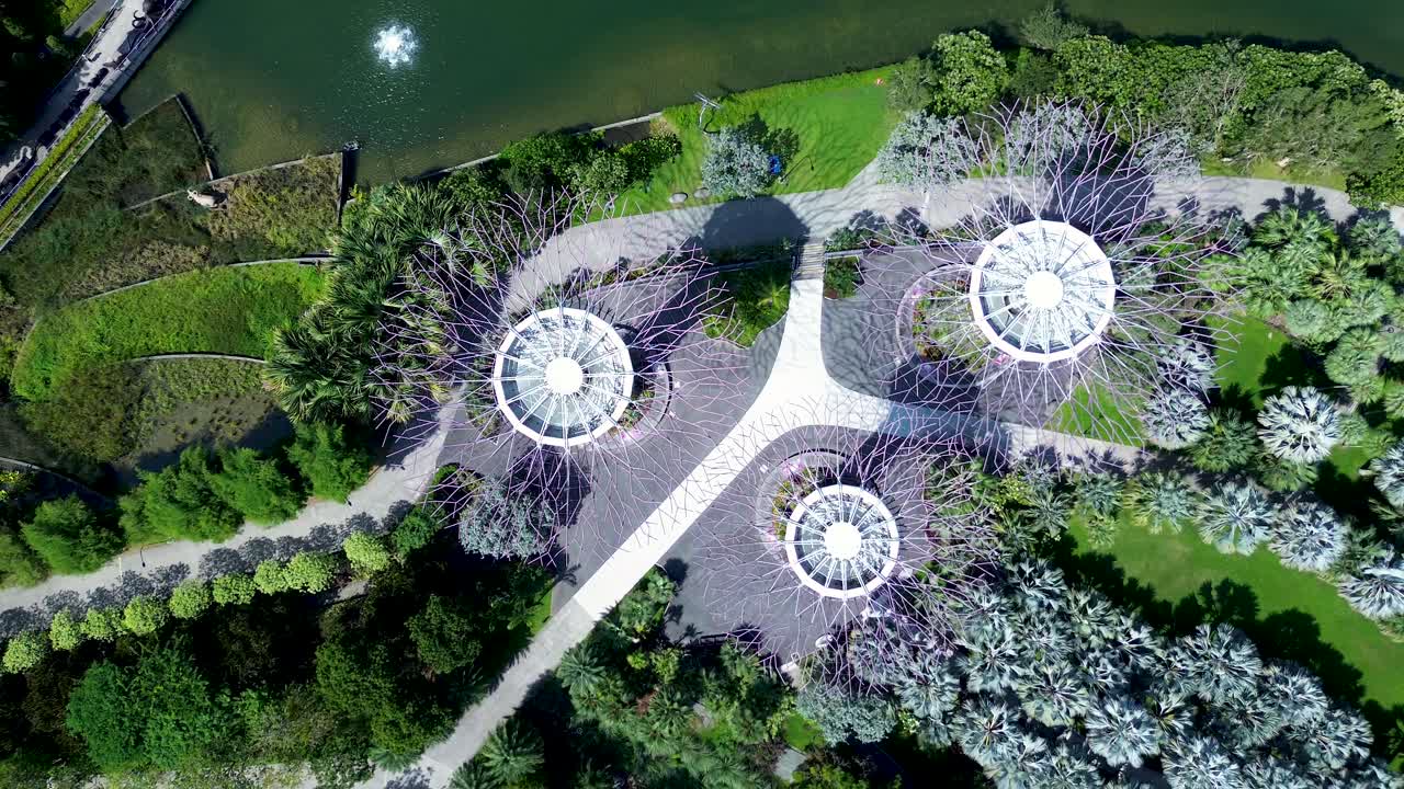 싱가포르 베이 (singapore city marina) 에 있는 정원에서 산책로가 있는 슈퍼 트리 그로브 (supertree grove) 의 항공 드론 풍경.
