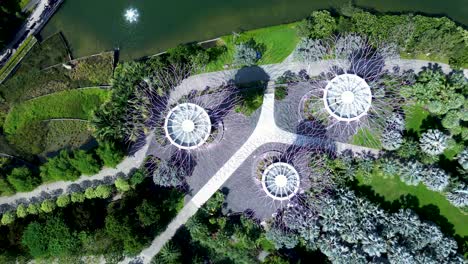 Paisaje-Aéreo-De-Drones-De-Supertree-Grove-Con-Pasarela-En-Jardines-Junto-A-La-Bahía-Puerto-Deportivo-De-La-Ciudad-De-Singapur-Diseño-De-Arte-árboles-Parque-Natural-Asia-Viajes-Turismo