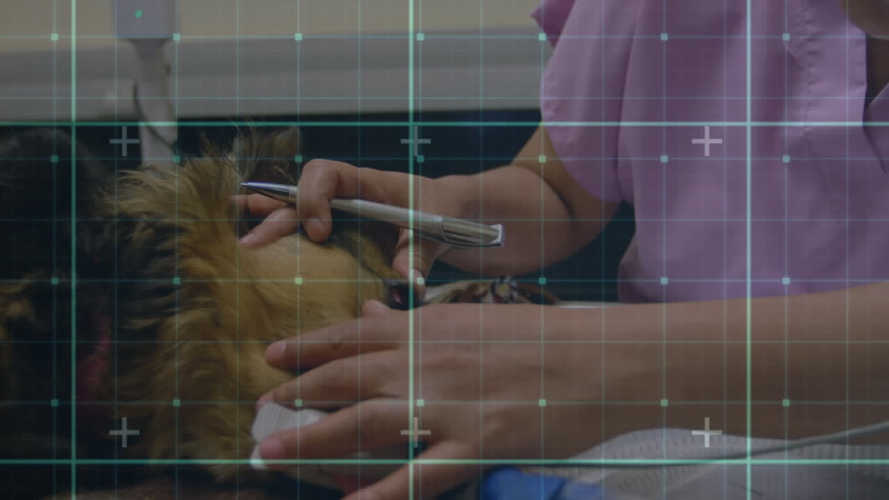 수의사 검사 개에 대한 그리드 라인