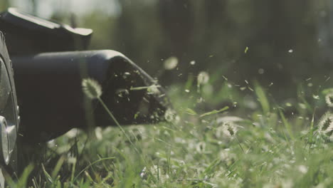 robotic lawn mower cutting grass