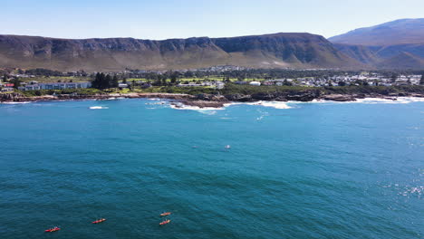 kayakers paddle near whales - adventure activity hermanus