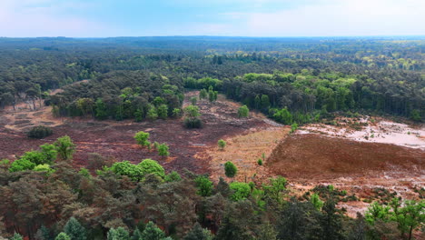 dry area with no vegetation among the lush green forests. rising over the nature landscape revealing view on the horizon.