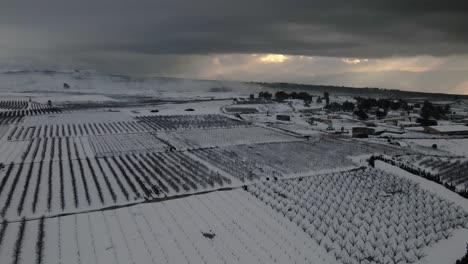 Soccer-fields-and-vineyards-covered-in-white-snow-in-the-city-of-Baquala-in-the-winter-landscape-on-a-partly-cloudy-day