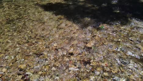 Toma-Panorámica-De-Un-Lecho-De-Río-Con-Agua-Corriendo-Suavemente-A-Través-De-Una-Selva-Tropical-Con-Luz-Solar-Fuerte-Y-Un-Lecho-De-Río-Rocoso