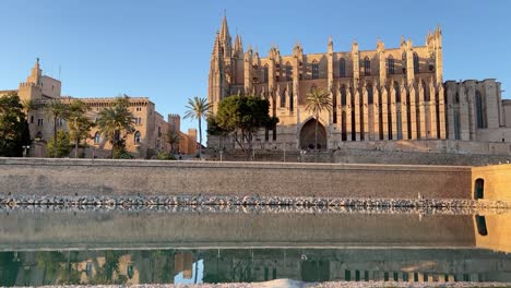 Lapso-De-Tiempo-La-Catedral-Y-El-Embalse-De-Palma-De-Mallorca-Con-Un-Pequeño-Perro-Blanco-Curioso-En-Una-Espléndida-Tarde-De-Primavera