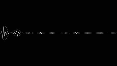 Un-Simple-Efecto-De-Visualización-De-Audio-En-Blanco-Y-Negro-28