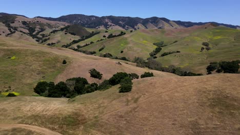 flying over rolling grass hills outside san luis obispo, california