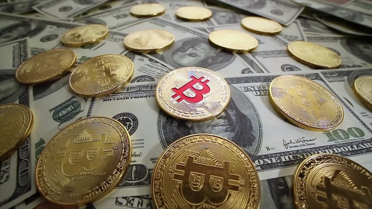 금 동전 비트 btc 동전과 달러 지폐.