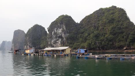 Casas-Flotantes-Tradicionales-En-La-Bahía-De-Halong,-Vietnam