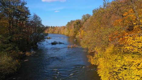 fantastic picture of the flowing river among the forest. colorful trees on a sunny autumn day. aerial nature view.