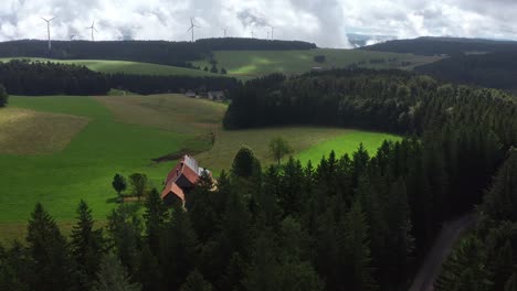 lush green forest and rural landscape in norway, aerial view