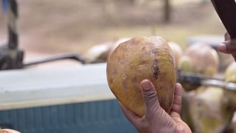 Una-De-Las-Bebidas-Más-Refrescantes-Del-Caribe-Es-El-Coco-De-Agua,-El-Hombre-Lo-Prepara-Con-Un-Cuchillo-Grande-En-La-Mano,-De-Cerca