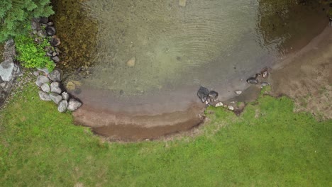 Vista-De-Arriba-Hacia-Abajo-De-La-Costa-Del-Lago-Con-Agua-Clara---Toma-De-Drones