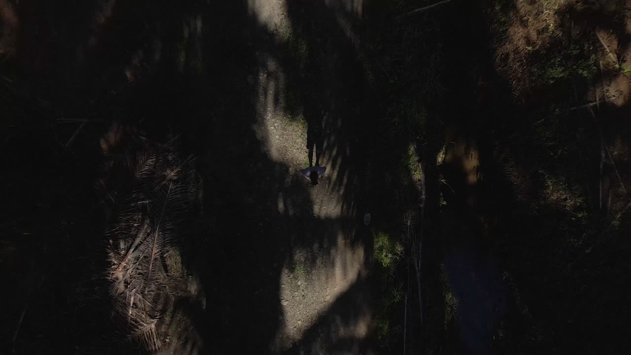 joven piloto de drones masculino caminando a través de un bosque de palmeras a la sombra en un día soleado en costa rica